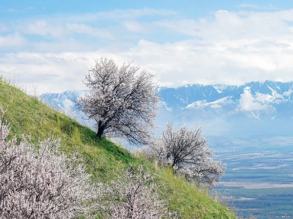 Xinjiang landscape travel experience