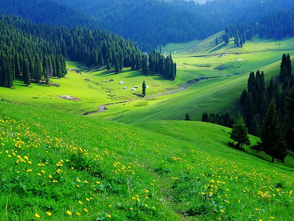Xinjiang landscape travel experience