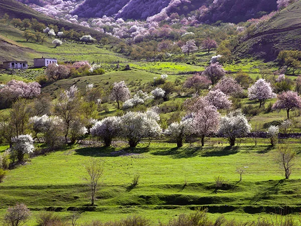 Xinjiang landscape travel experience