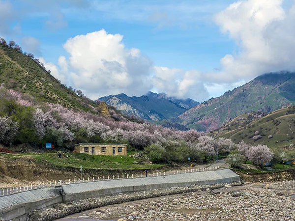 Xinjiang landscape travel experience
