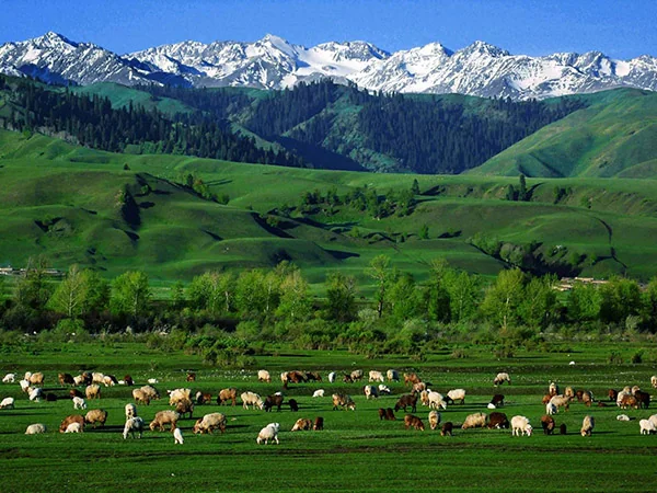 Xinjiang landscape travel experience