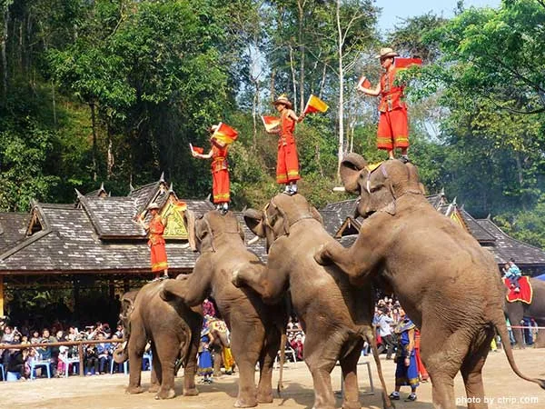 Xishuangbanna travel experience
