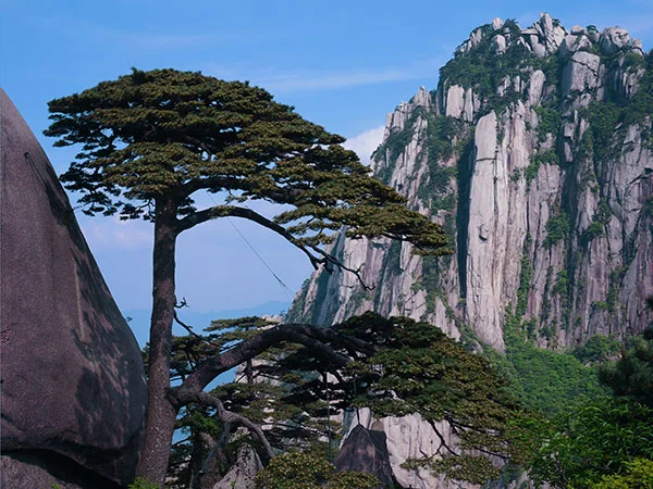 Yellow Mountain Huangshan travel experience