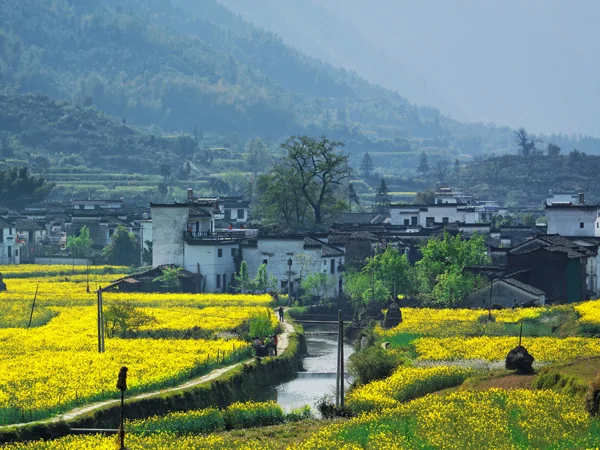 Yellow Mountain Huangshan travel experience