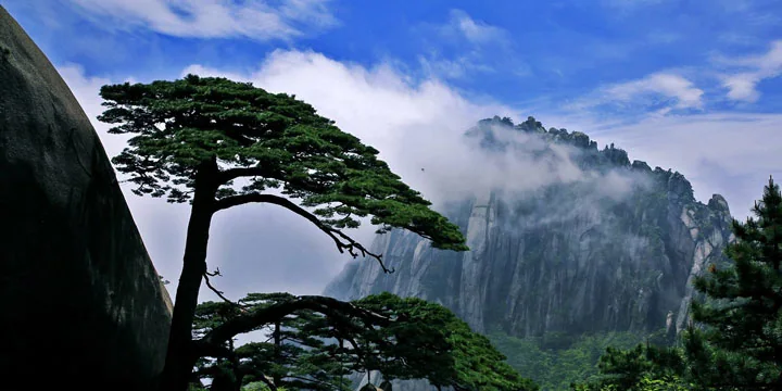 Yellow Mountain Huangshan travel experience