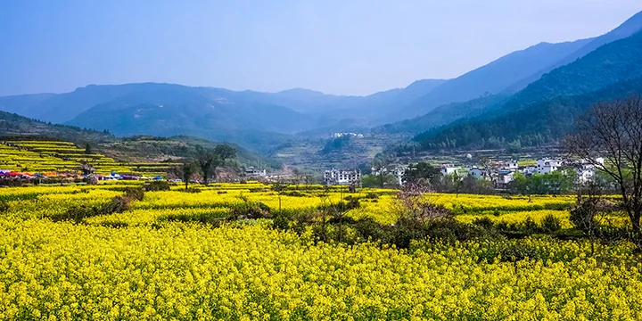 Yellow Mountain Huangshan travel experience