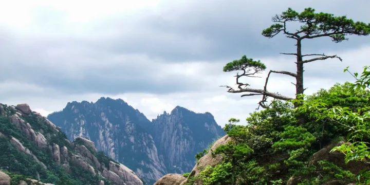 Yellow Mountain Huangshan travel experience