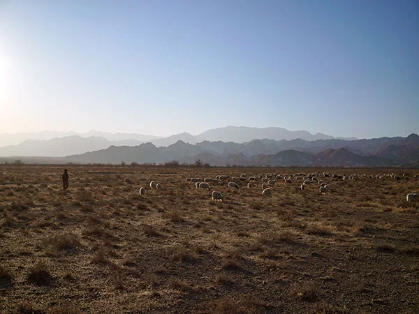 Yinchuan travel experience