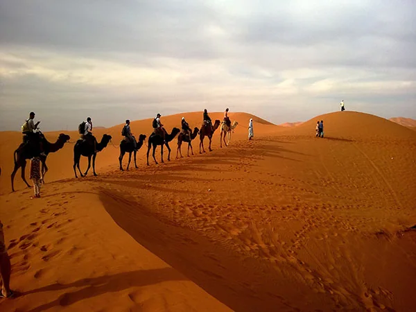 Yinchuan travel experience