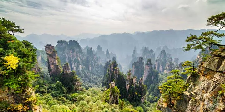 Zhangjiajie National Forest Park travel experience