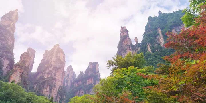 Zhangjiajie National Forest Park travel experience