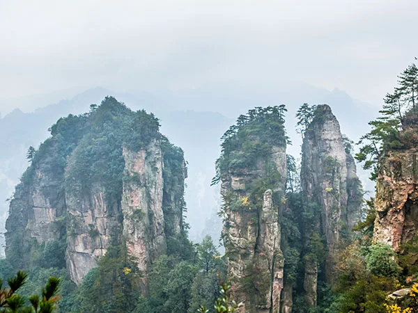 Zhangjiajie National Forest Park travel experience