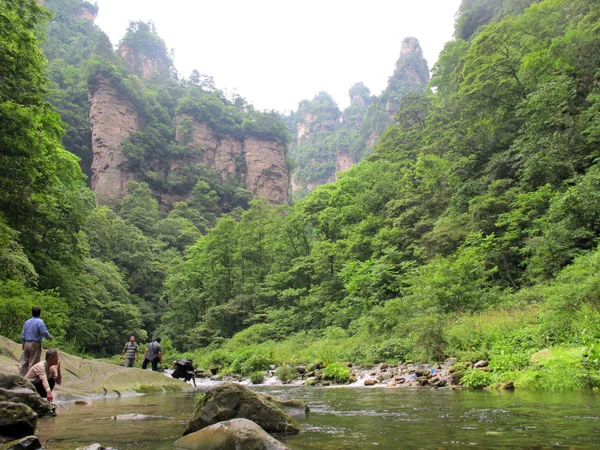 Zhangjiajie National Forest Park travel experience