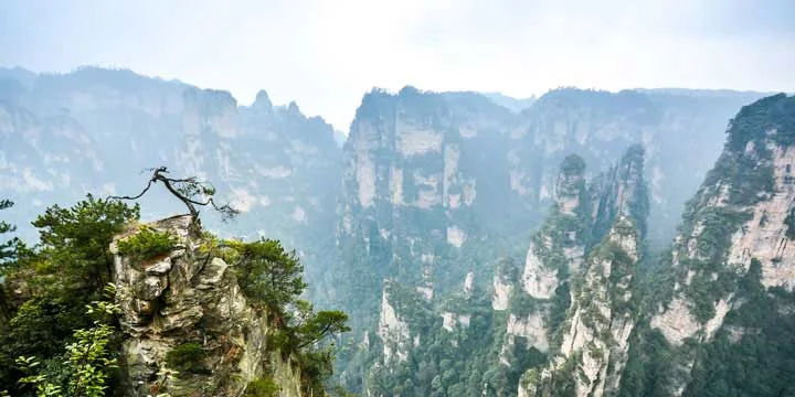 Zhangjiajie National Forest Park travel experience
