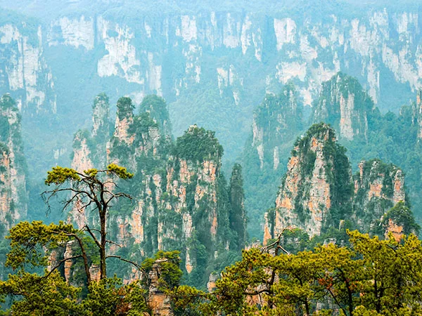 Zhangjiajie National Forest Park travel experience