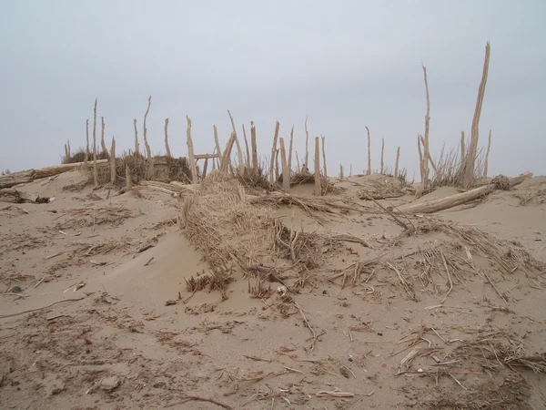 Earthen archaeological remains associated with ancient Loulan in Xinjiang