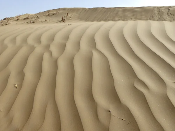 Taklimakan Desert dunes in the Tarim Basin Taklimakan Desert dunes in the Tarim Basin