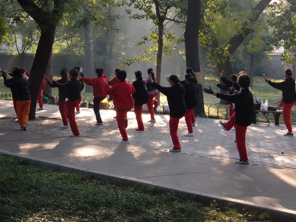 People practicing tai chi in a public park in China