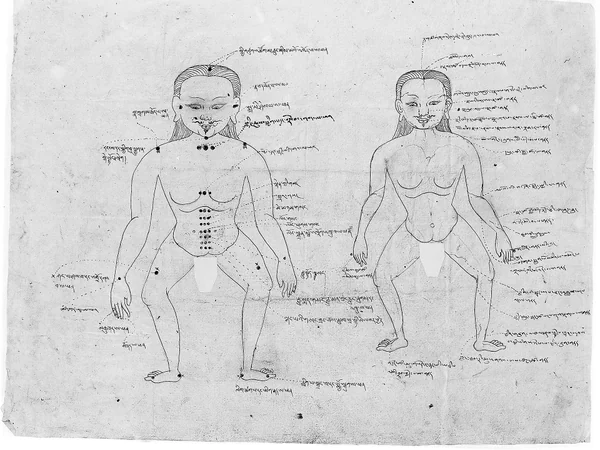 Illustrated Tibetan medical teaching chart Illustrated Tibetan medical teaching chart