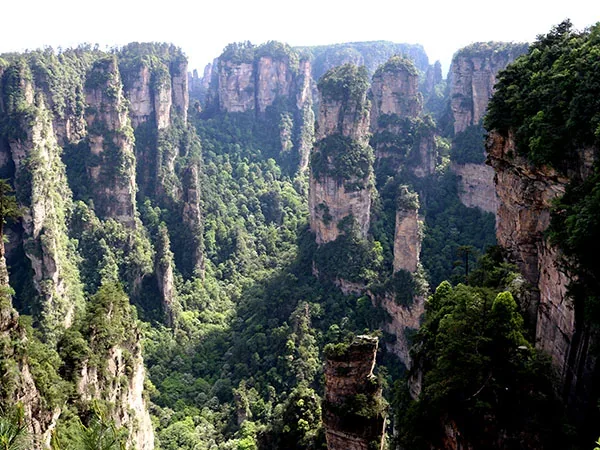 10 Days Scenic Tour to Zhangjiajie & Mt. Huangshan - Yangjiajie Scenic Area
