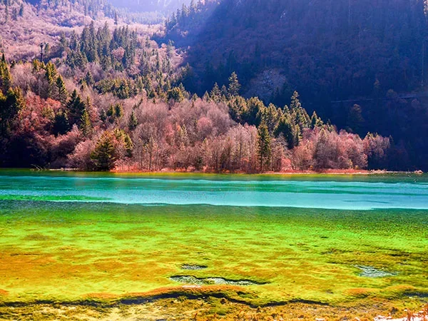 15 Days Jiuzhaigou and Chengdu Wonderland Tour - Five Flowers Sea In Jiuzhaigou Valley