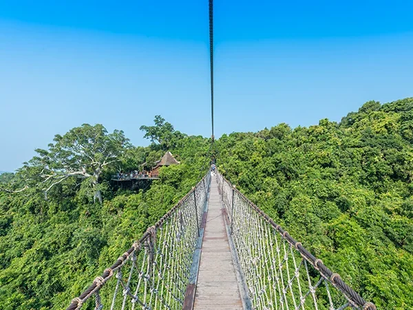 21 Days Experience the Southwest Paradise of China - Yalong Bay Tropical Paradise Forest Park