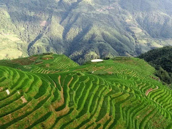 4 Days Best Guilin tour to Yangshuo and Longji Terraces - Longji Rice Terrace