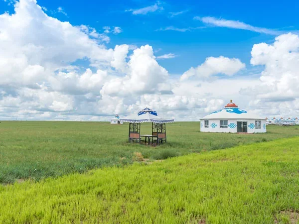 4 Days Best Hohhot Grassland Tour - Xilamuren Grassland