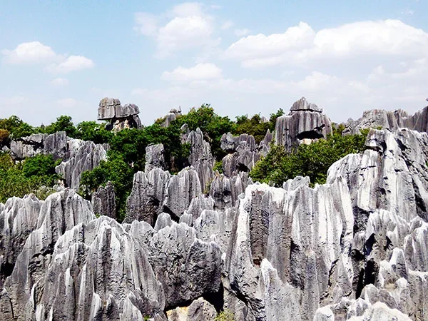 4 Days Kunming and Stone Forest Tour - Stone Forest