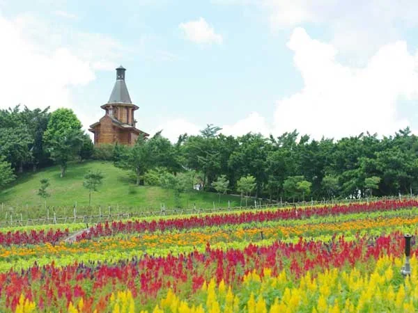 4 Days Shenzhen City and OCT East Tour - Oct East Shenzhen