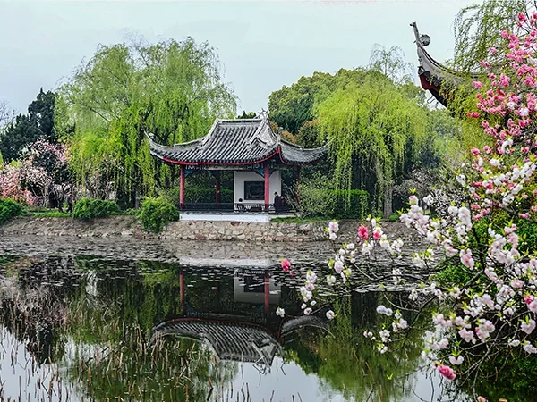 4 Days Suzhou and Wuxi Highlight Tour - Liyuan Garden