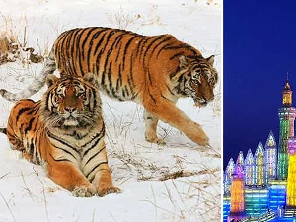 5 Days Harbin Ice & Snow Festival and Yabuli - Harbin Ice And Snow Festival Tour