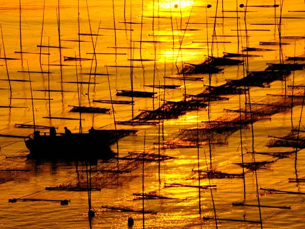 5 Days Xiapu Photography Tour - Xiapu