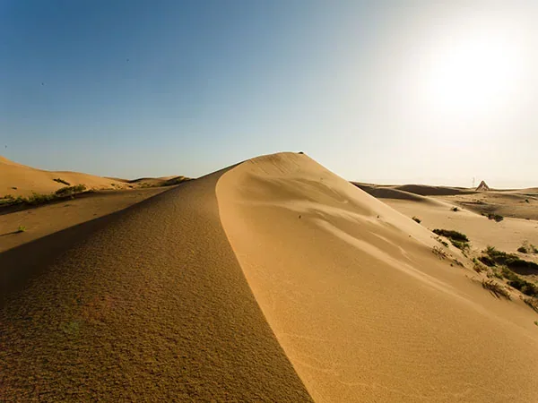 5 Days Yinchuan and Zhongwei Panorama Tour - Tengger Desert