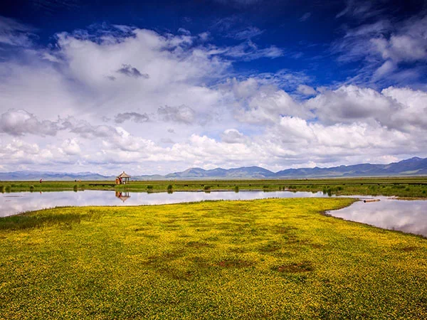 6 Days Amazing Jiuzhaigou to Ruoergai Tour - Ruoergai