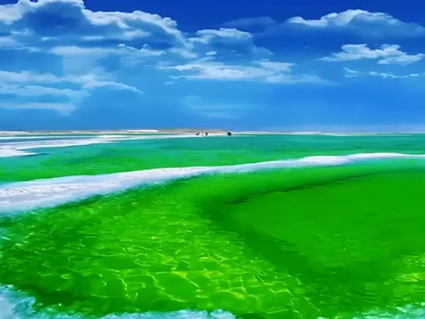 7 Days Qinghai-Tibet Train Experience - Chaerhan Salt Lake