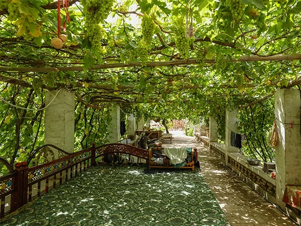 7 Days Xinjiang Discovery Tour - Grape Valley