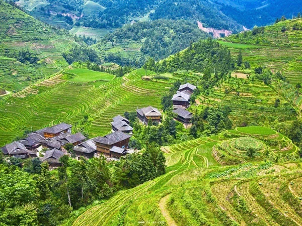 7 Days Yuanyang Rice Terraces Tour - Jinkeng Rice Terraces