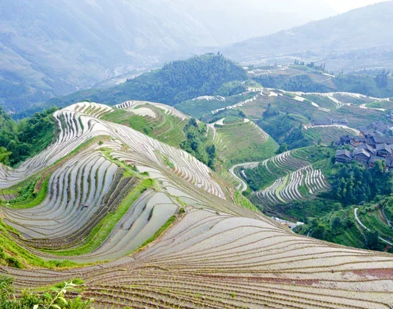 9 Days Guilin Scenic Tour to Leye Sinkholes - Jinkeng Rice Terraces