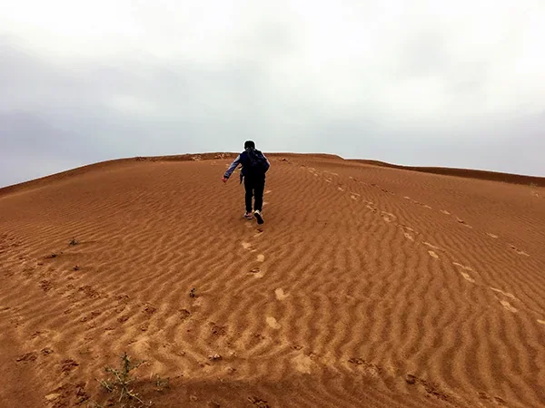 9 Days Inner Mongolia Tour from Grassland to Desert - Kubuqi Desert