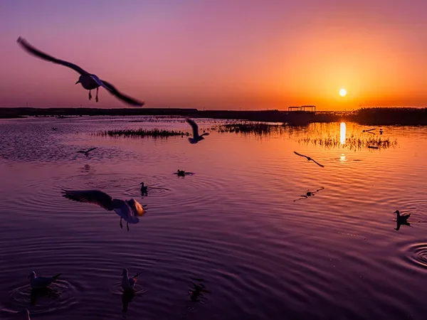 9 Days Journey from Beijing to Inner Mongolia - Juyan Sea