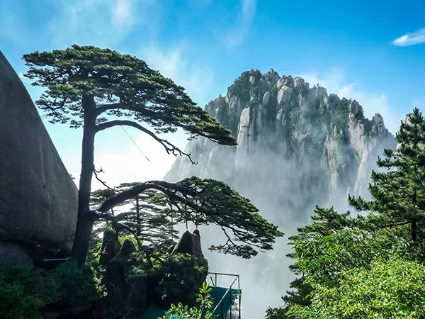 One Month Tour to China - Guest Greeting Pine