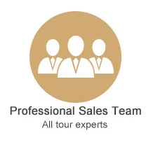 Professional Sales Team
