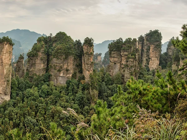 Sandstone pillars rising through forest in Wulingyuan, Zhangjiajie Sandstone pillars rising through forest in Wulingyuan, Zhangjiajie
