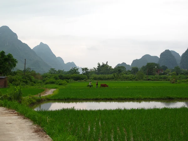 Yulong River countryside cycling landscape near Yangshuo Yulong River countryside cycling landscape near Yangshuo
