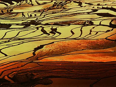 Sunlit Yuanyang rice terraces in southern Yunnan