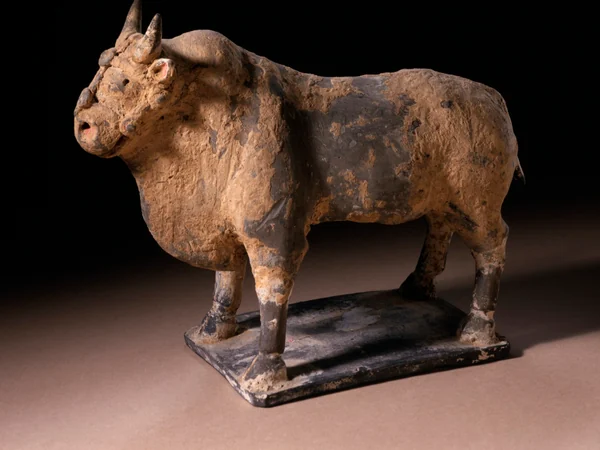 A Chinese funerary ox sculpture in a museum collection A Chinese funerary ox sculpture in a museum collection
