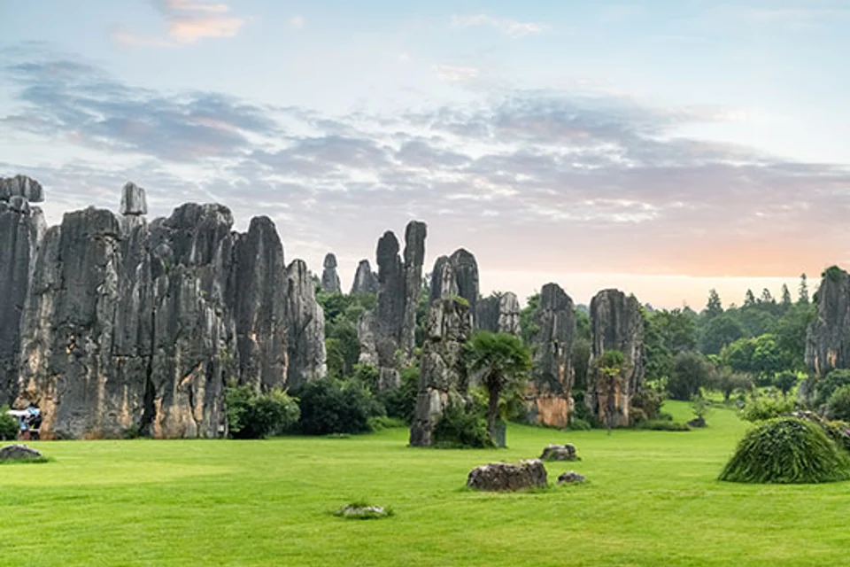 Stone Forest