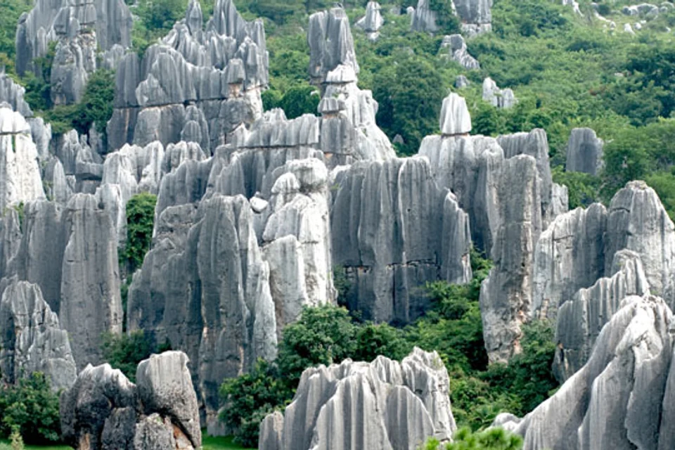 Stone Forest Excursion