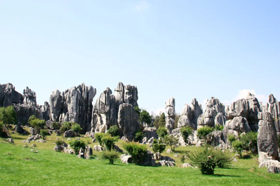 Stone Forest Day Tour